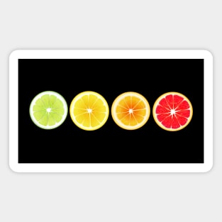 Lime Lemon Orange Vitamin Citrus Wheels of a Power of Juice Health Food choices and living Greenway for your own strong Health benefits and vitality life Magnet